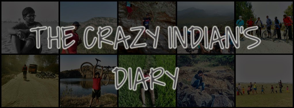 The Crazy Indian's Diary !