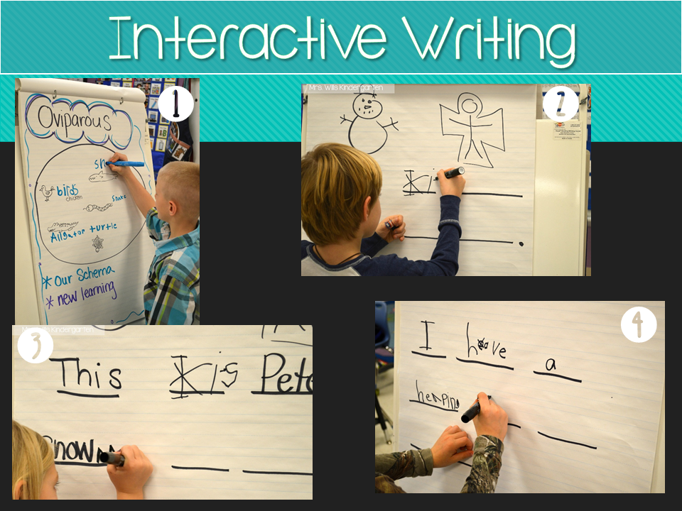 Interactive learning essay picture