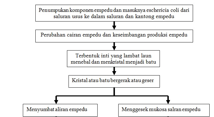 Sumber Ilmu ASKEP KOLELITIASIS (BATU EMPEDU)