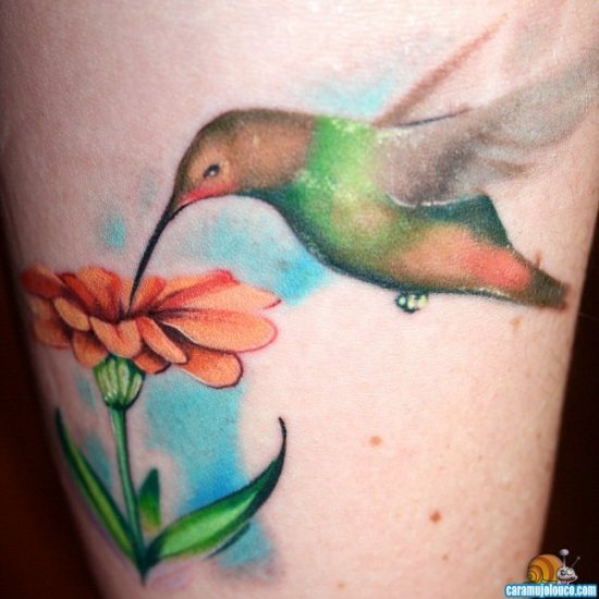 mais de 70 tatuagens de beija flor escreve nÃo lÊ