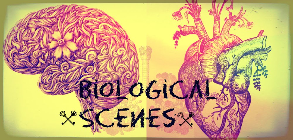 Biological Scenes