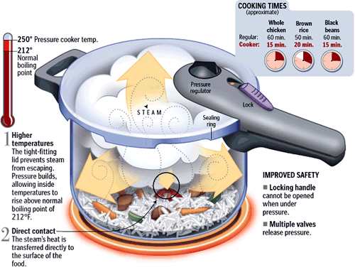 Why a pressure cooker can save both time and money, Food