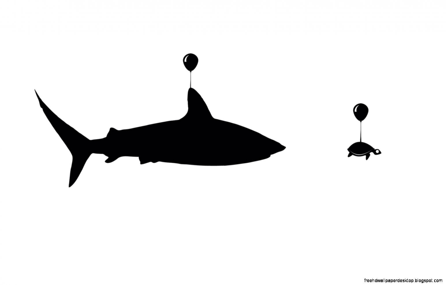 Shark Turtle Art Funny HD Wallpaper FreeWallsUp Shark Turtle Art Funny HD Wallpaper FreeWallsUp