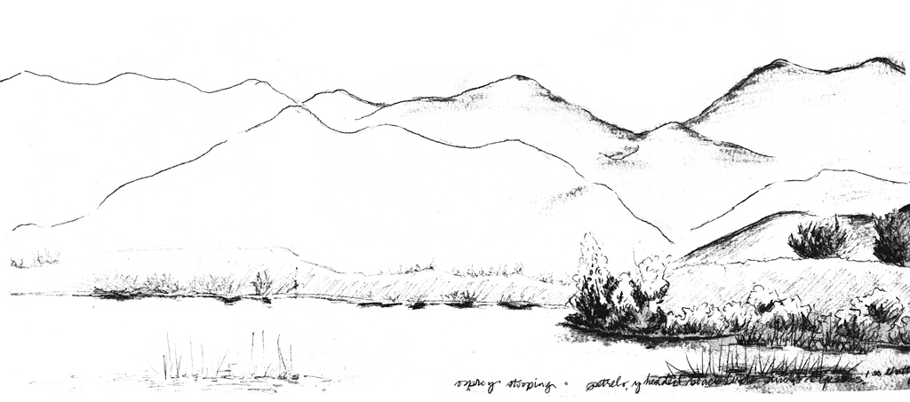 Fruit Root Leaf A Step Beyond Just Drawing