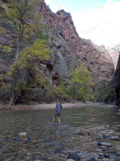 Hiking the narrows Zion National Park
