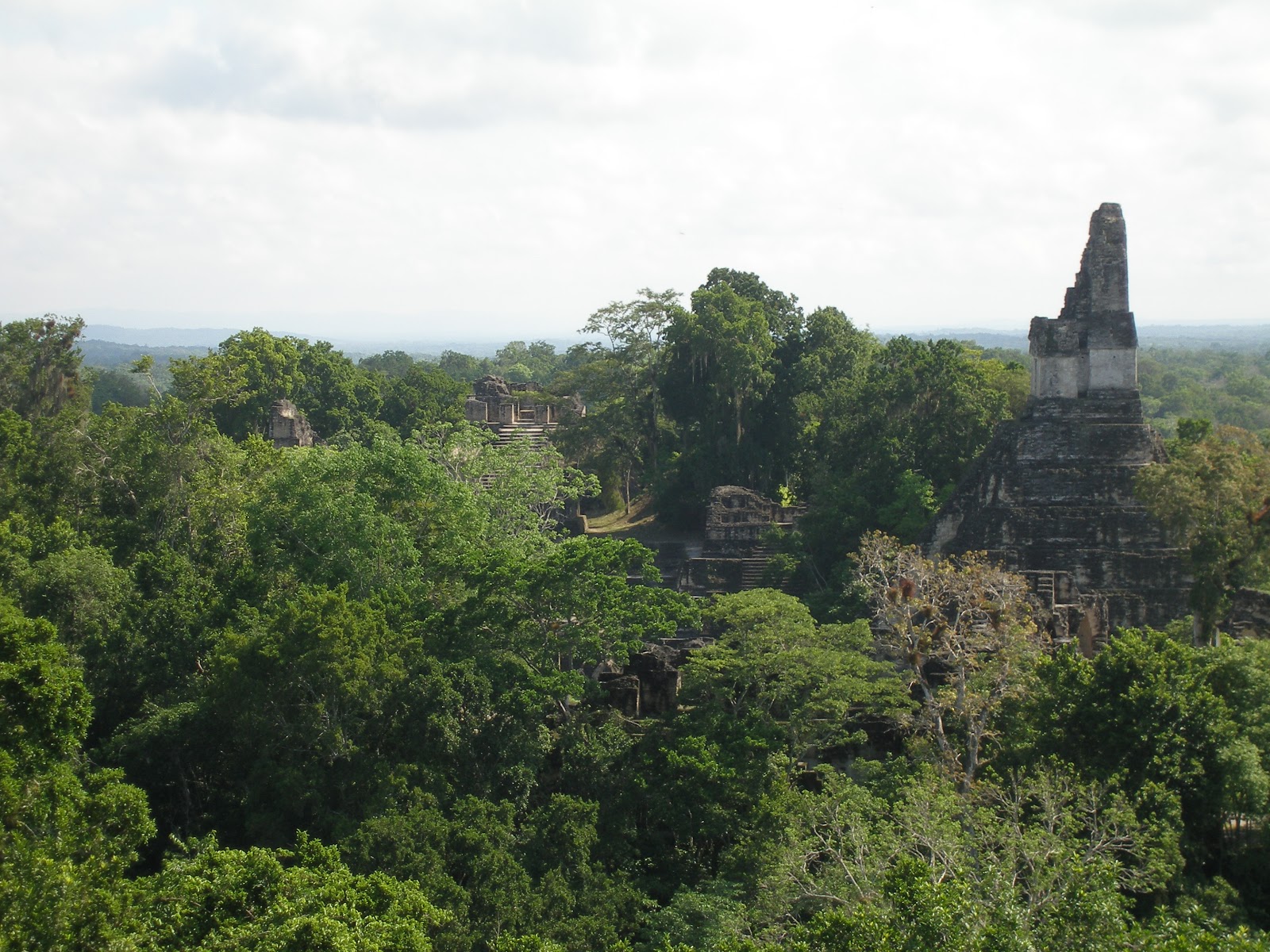 Tikal Temple 3