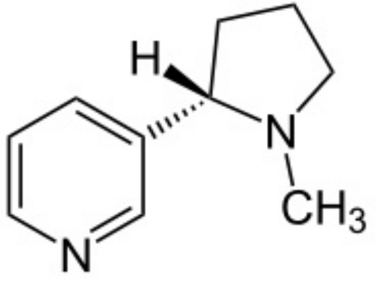 Indonesian Space Research BISNIS DAN JUAL BELI ROKOK