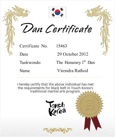 Korea Calling !!: Taekwondo Traditional Korean Martial Art!
