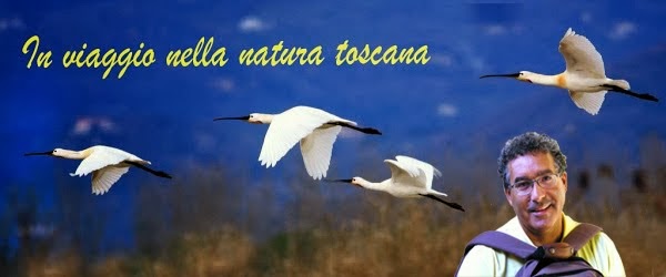 in viaggio nella natura toscana