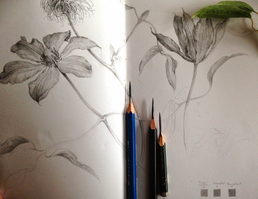 Woodless Graphite Pencils Versus Traditional Drawing Pencils - FeltMagnet