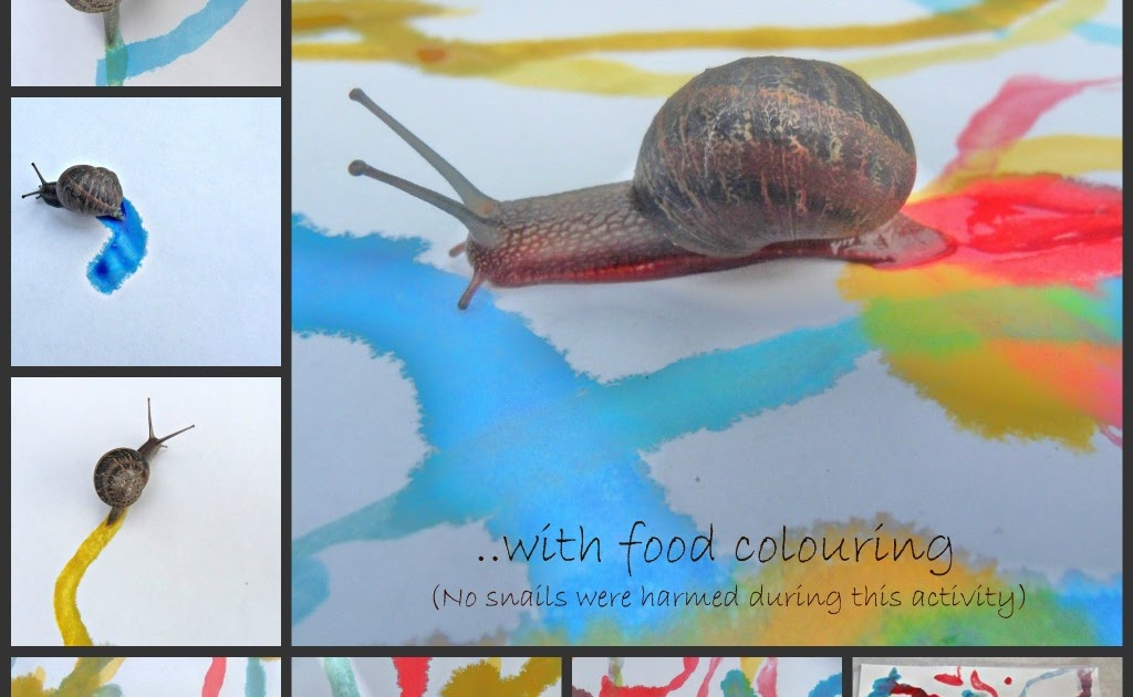Creative Flourishes Not for the squeamish Snail Painting!