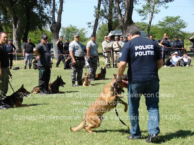 curso durante el año 2010 dictado por GAETAN DIGIORGIO entrenador de perros de la policia de BELGIC
