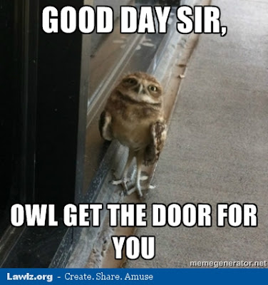 good-day-sir-owl-get-the-door-for-you-me
