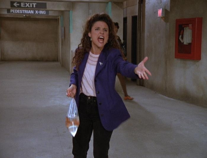 Seinfeld's Elaine Benes, A 90s Style Icon & A Pop Culture Phenomenon