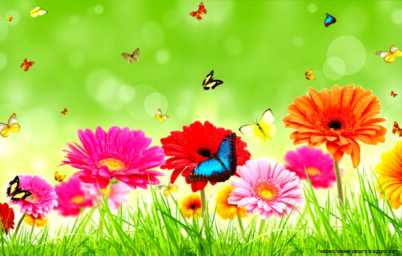 flowers Wallpaper flowers Wallpaper