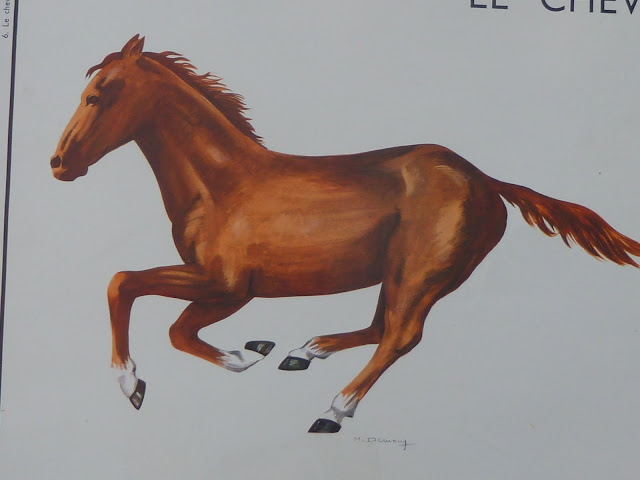 le cheval et le lapin affiche scolaire rossignol