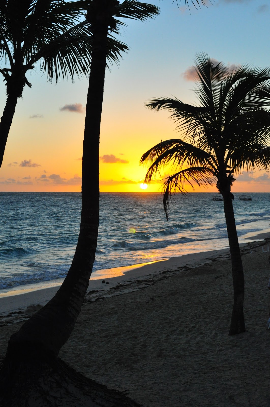 Pinmyboard Beautiful beach sunset in Florida