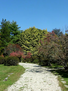 Japanese Stroll Garden