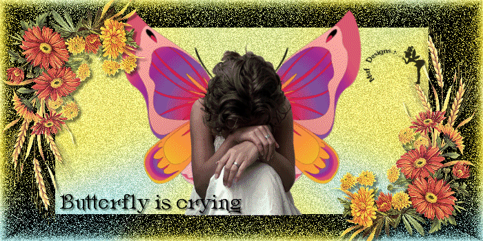 Butterfly is crying