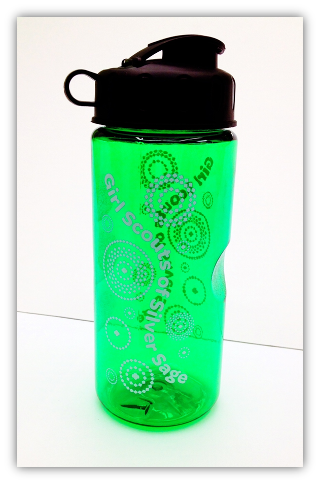 Girl Scouts of Silver Sage November 2012