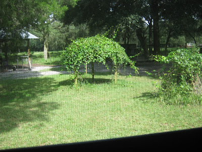 my view sewing room www.sewplus.blogspot.com