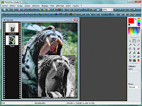 PhotoFiltre Studio X 10.6.0 PhotoFiltre Studio X 10.6.0