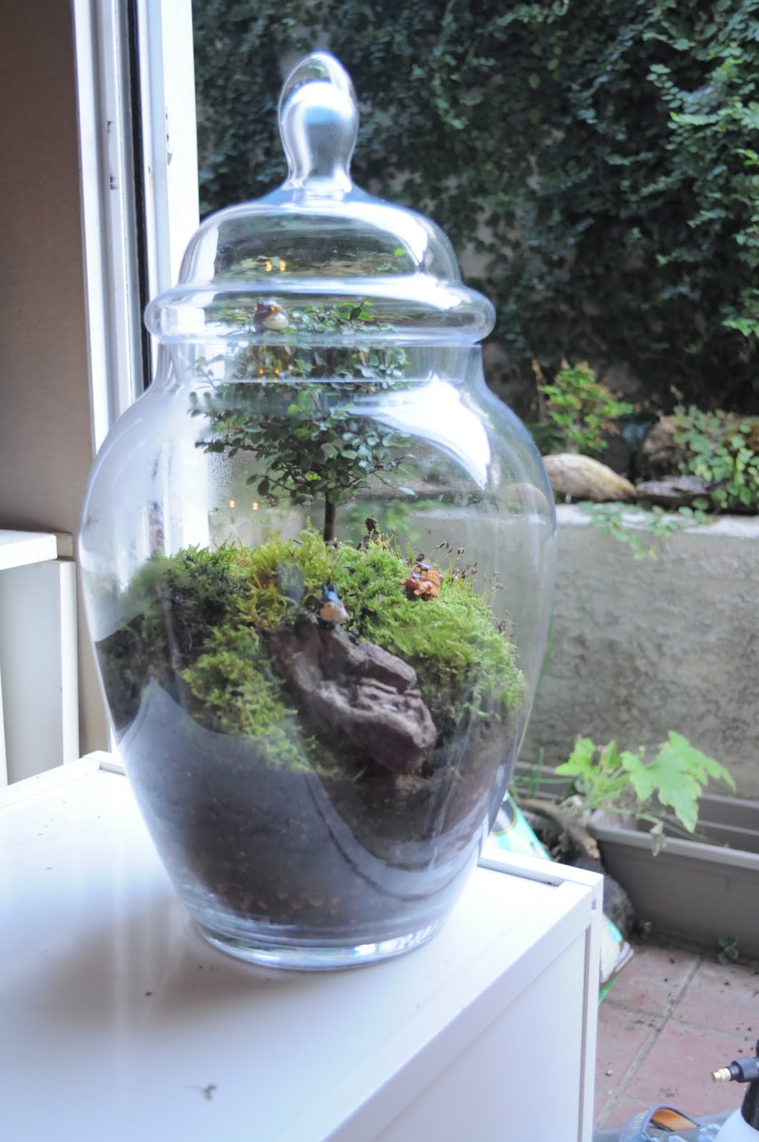 Terrarium & Timmy Custom Totoro totoro totoro TERRARIUM FROM ETSY