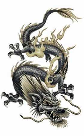 Celtic+dragon+tattoo+meaning