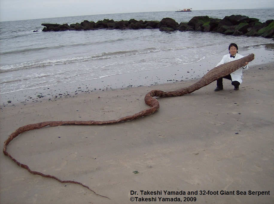 chinese sea serpent