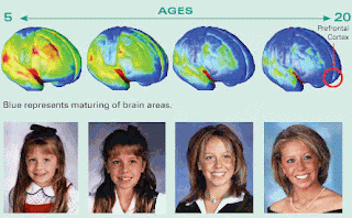 how divorce affect the adolescent The impacts of divorce on teenagers by chris this post will address some of the more significant effects divorce has on teenagers the adolescent process is after their parents divorced tend to develop behavioral problems that not only affect their own lives but also the lives of those. how divorce affect the adolescent The impacts of divorce on teenagers by chris this post will address some of the more significant effects divorce has on teenagers the adolescent process is after their parents divorced tend to develop behavioral problems that not only affect their own lives but also the lives of those.