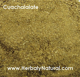 cuachalalate herbal natural comn