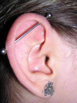 Transversal Feminino Piercing Transversal Feminino
