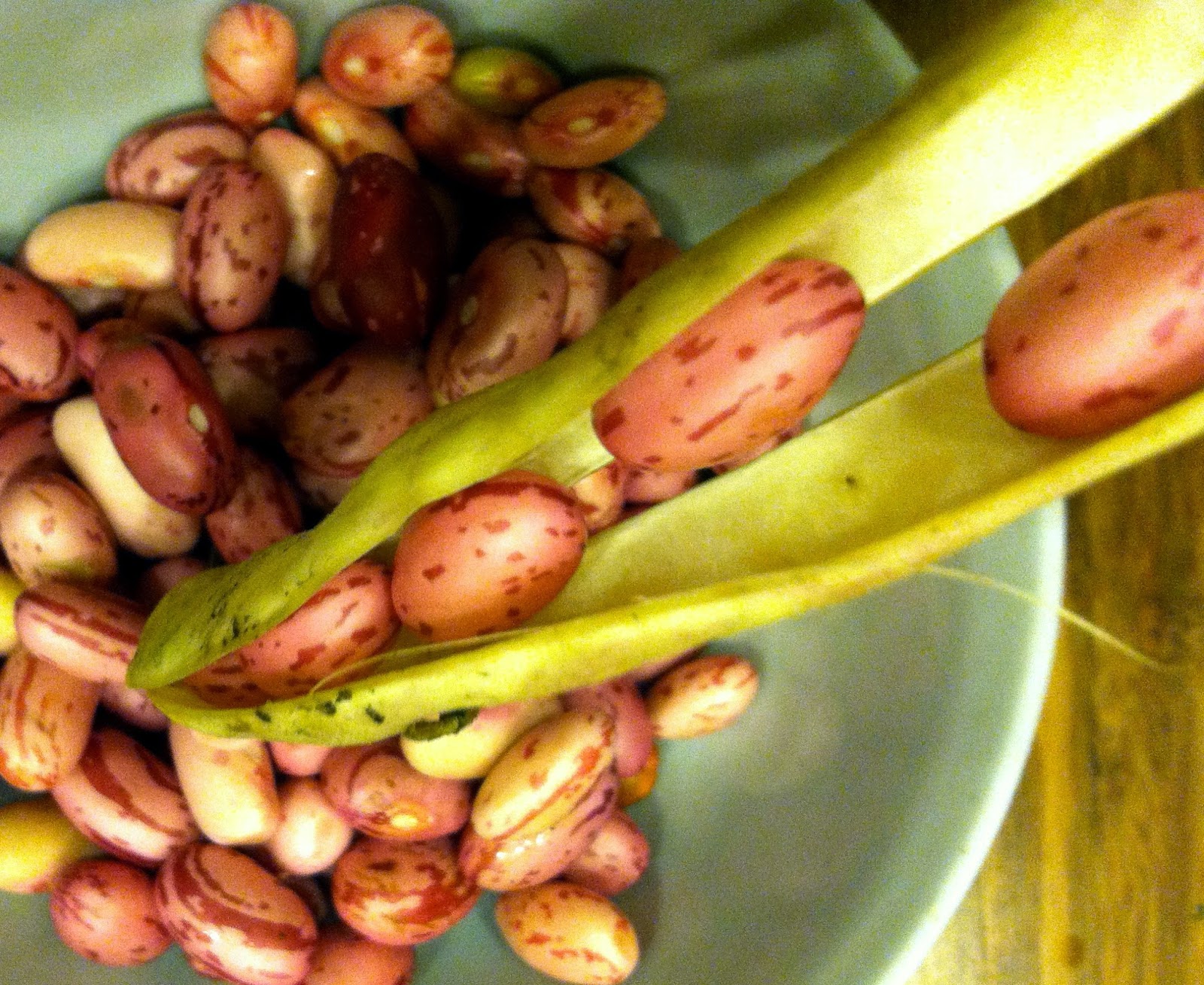 Brockman Family Farming's Blog About Shelling Beans