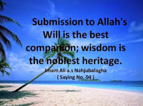  Submission to Allah's Will is the best companion; wisdom is the noblest heritage.
