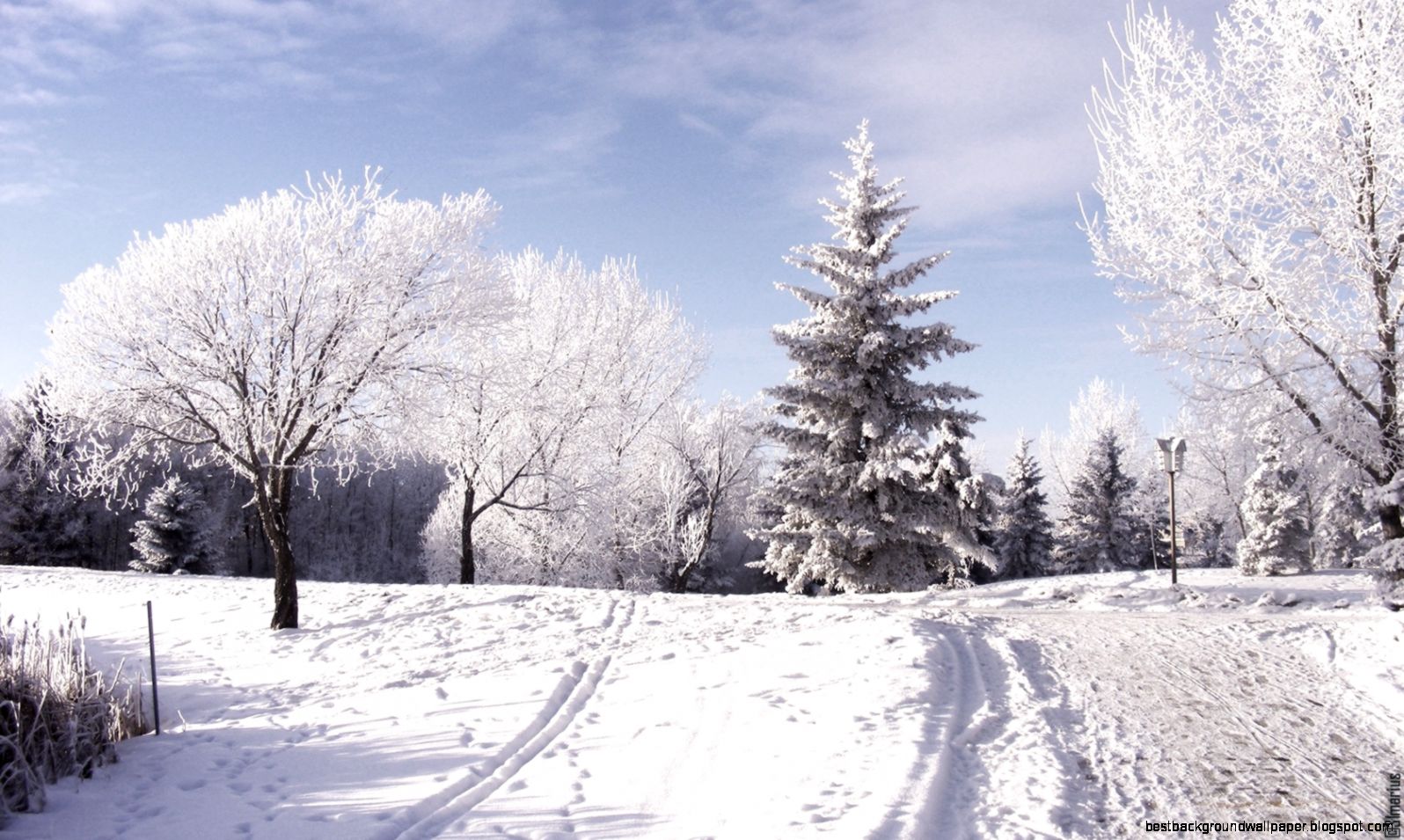 Free Winter Scenes for Desktop Free Winter Scenes for Desktop