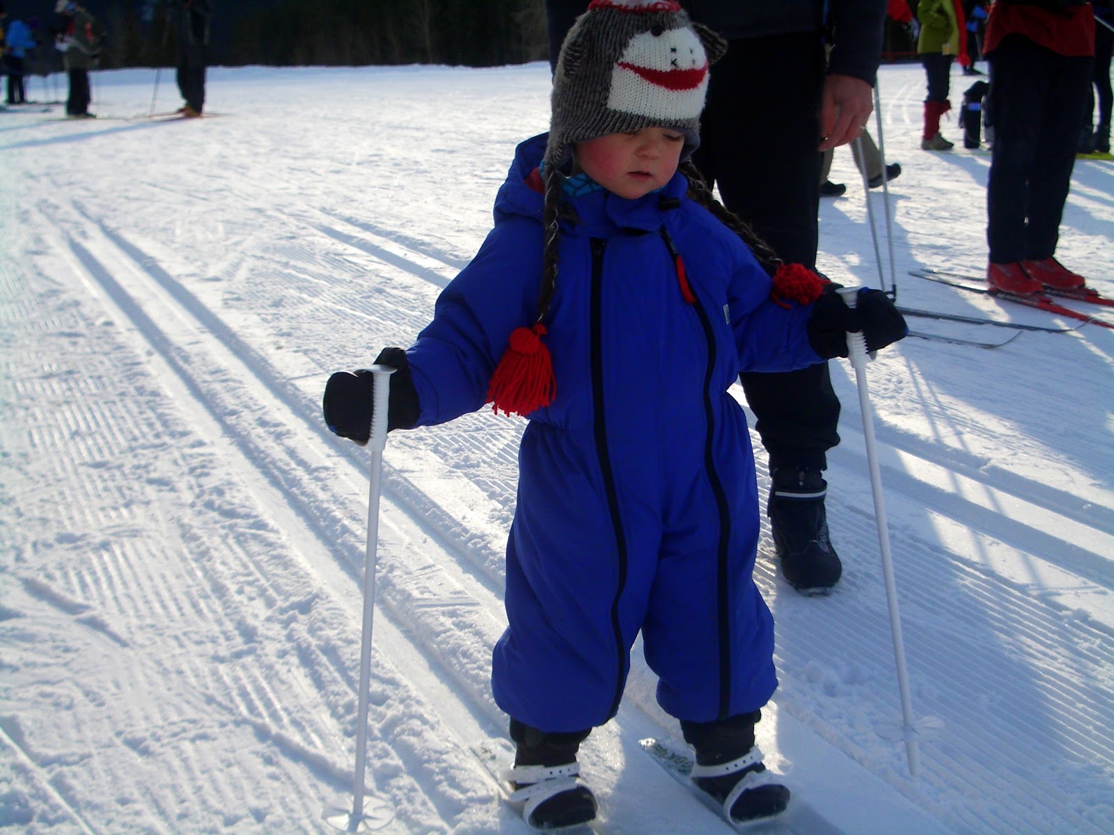 Family Adventures in the Canadian Rockies Teaching Toddlers and Preschoolers to XCountry Ski