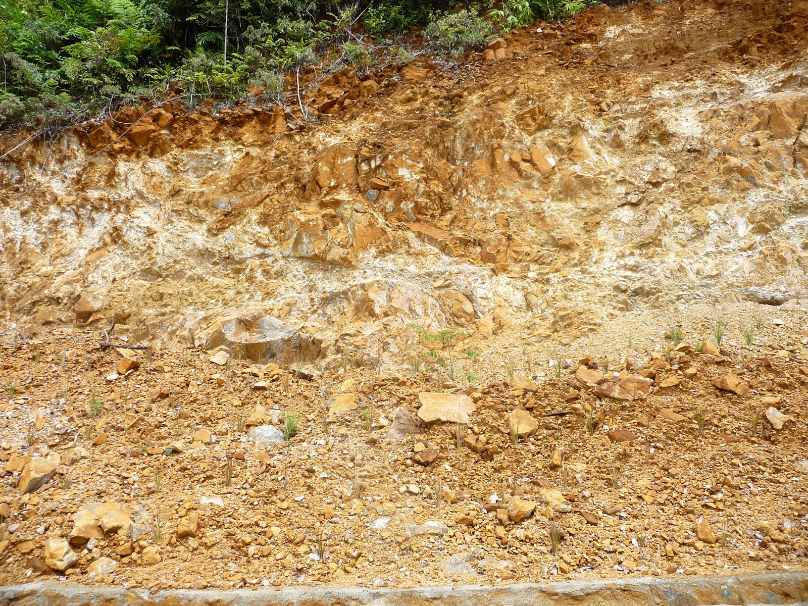 Down To Earth Questions 2012