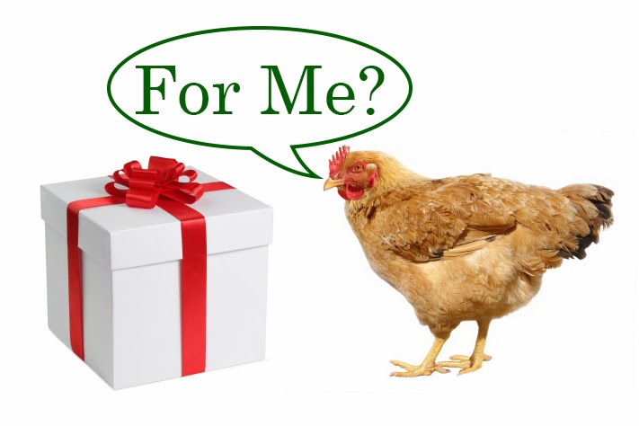 Chicken Waterer: Gift Guide For Chickens