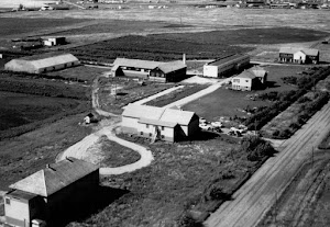 Sharon Orphanage and Schools, North Battleford, Saskatchewan