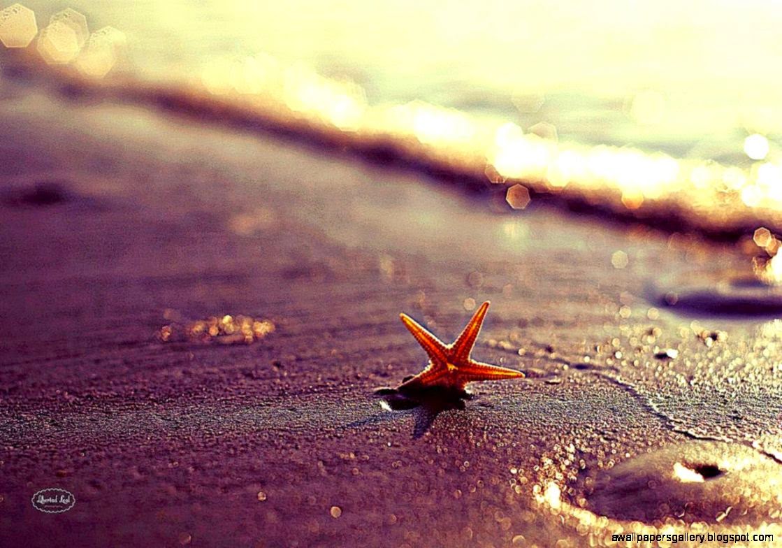 Summer Beach Fun Tumblr Amazing Wallpapers Summer Beach Fun Tumblr Amazing Wallpapers