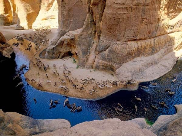 A guelta forms when underground water in lowland depressions spills to the surface and creates permanent pools and reservoirs. -There’s A Place You Can Barely See In The Middle Of The Desert. But When You Go Closer… AMAZING. A guelta forms when underground water in lowland depressions spills to the surface and creates permanent pools and reservoirs. -There’s A Place You Can Barely See In The Middle Of The Desert. But When You Go Closer… AMAZING.