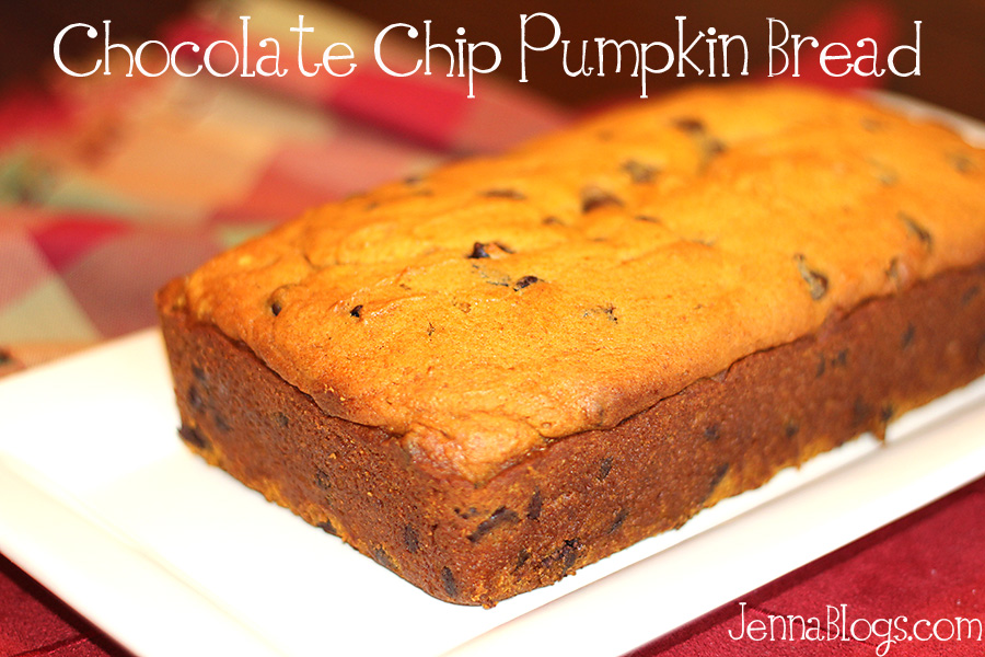 Jenna Blogs Chocolate Chip Pumpkin Bread