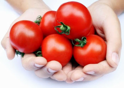kandungan vitamin dalam buah tomat