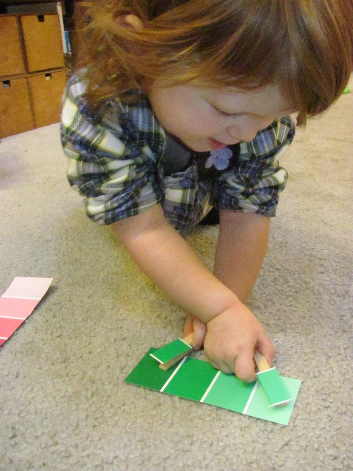 It's a Long Story Paint Chip Matching Game