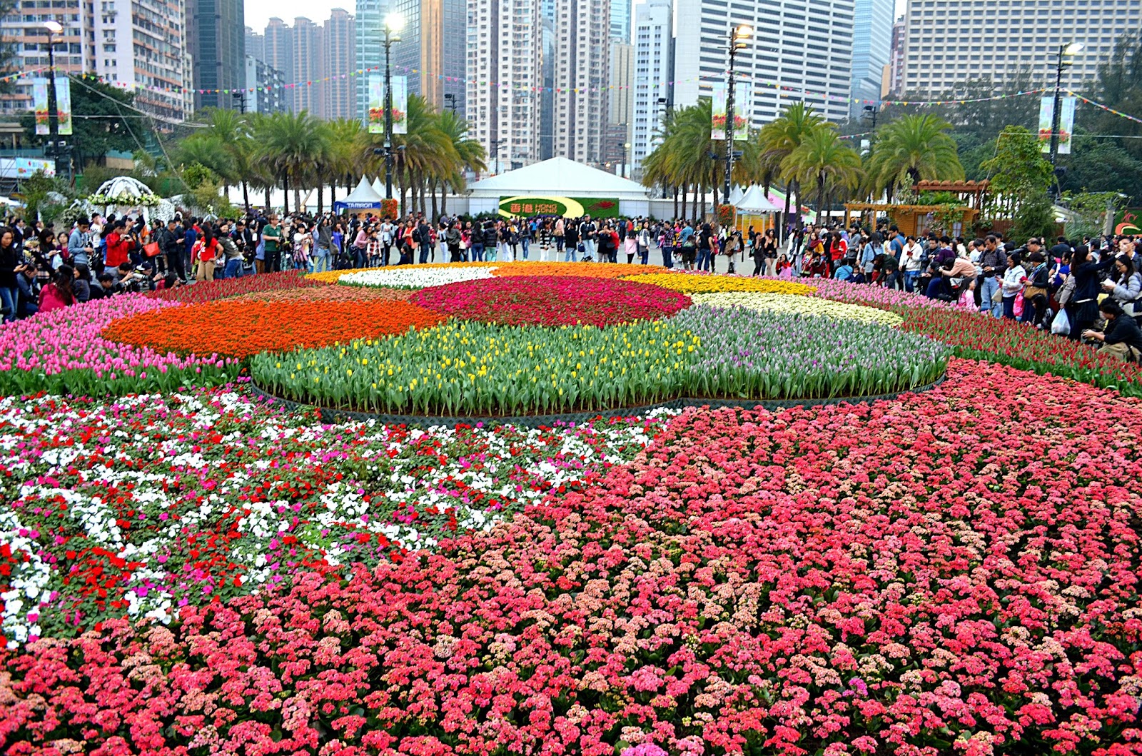 Shipping Off to Singapore Destination Hong Kong (Hong Kong Island)