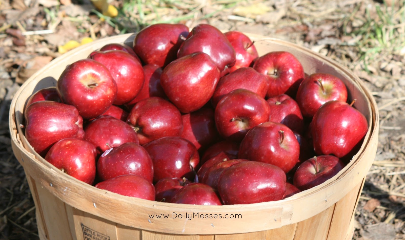 Daily Messes Identify This Part 56