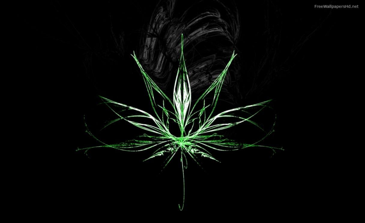 3D Wallpaper Weed Leaf Wallpapers Hd  Wallpapers Collection 3D Wallpaper Weed Leaf Wallpapers Hd  Wallpapers Collection