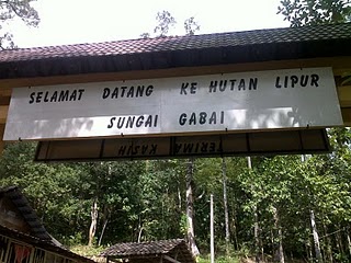 Lipur sungai gabai hutan Hulu Langat