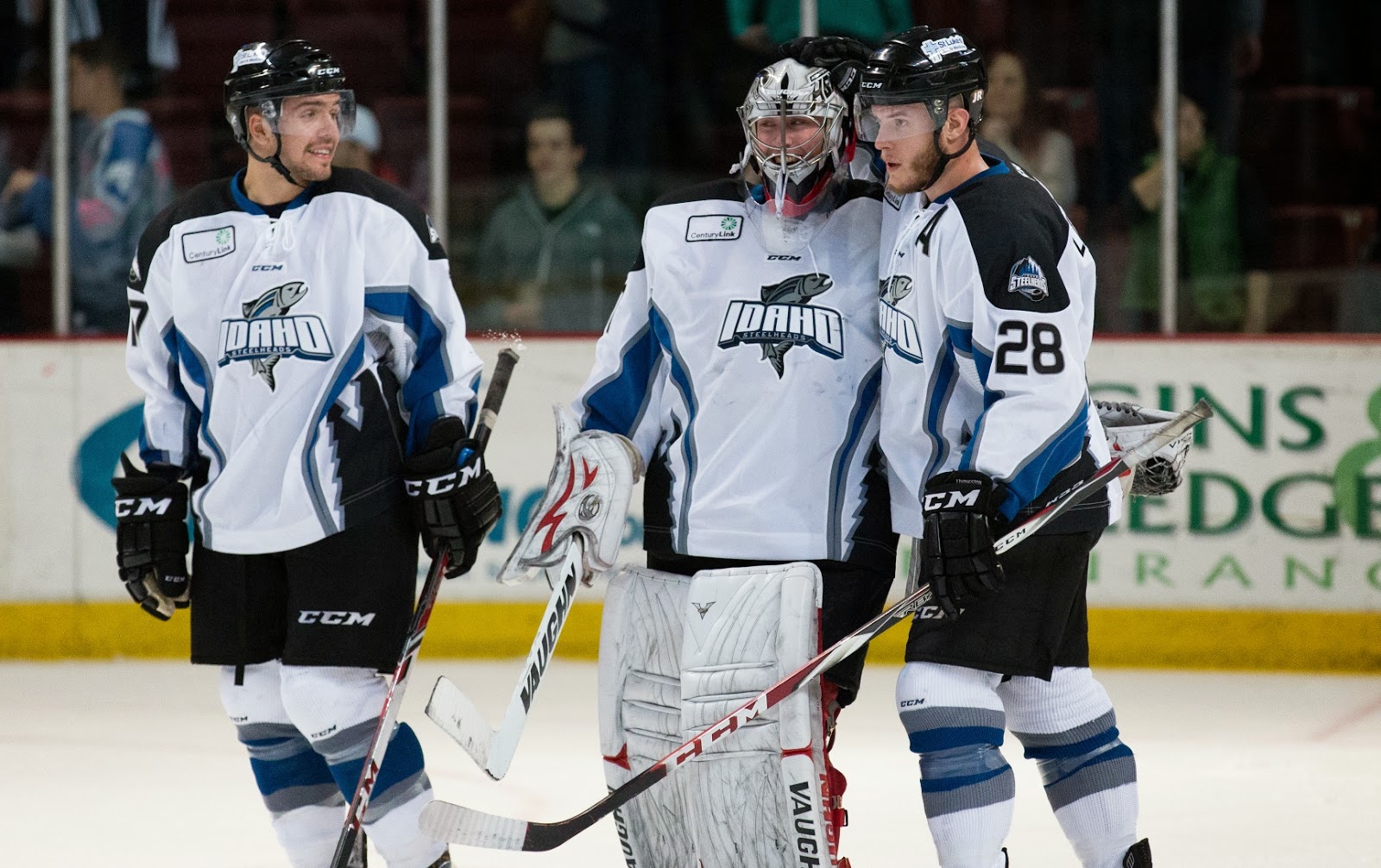 jesse blacker ice tigers