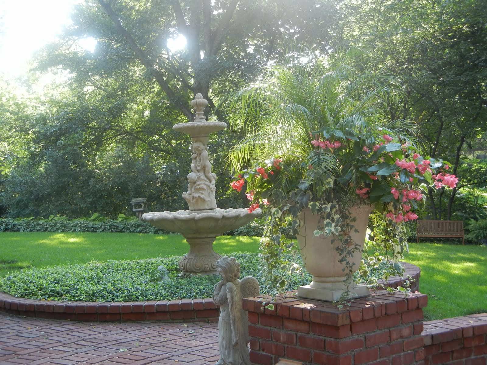 The French Tangerine kelly's garden